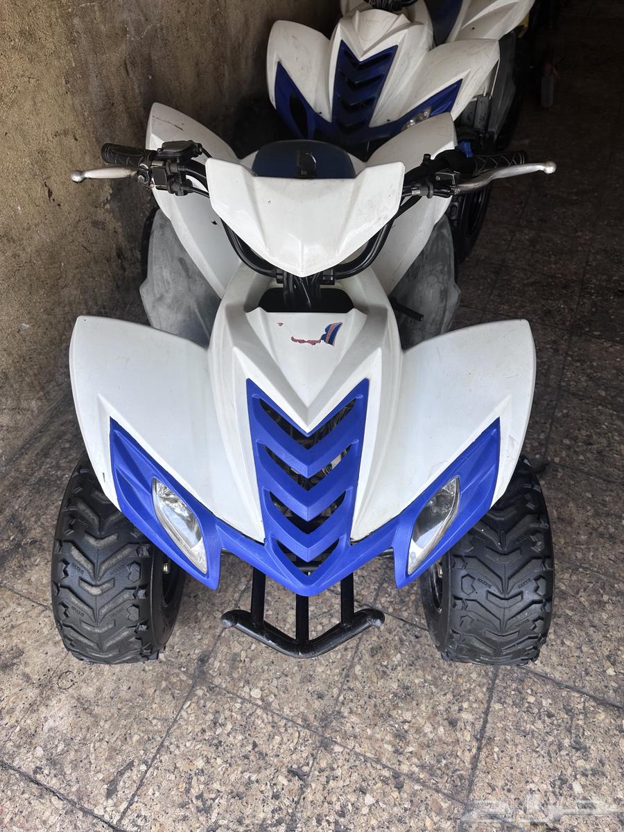 2 دباب تايجر64432930881923111