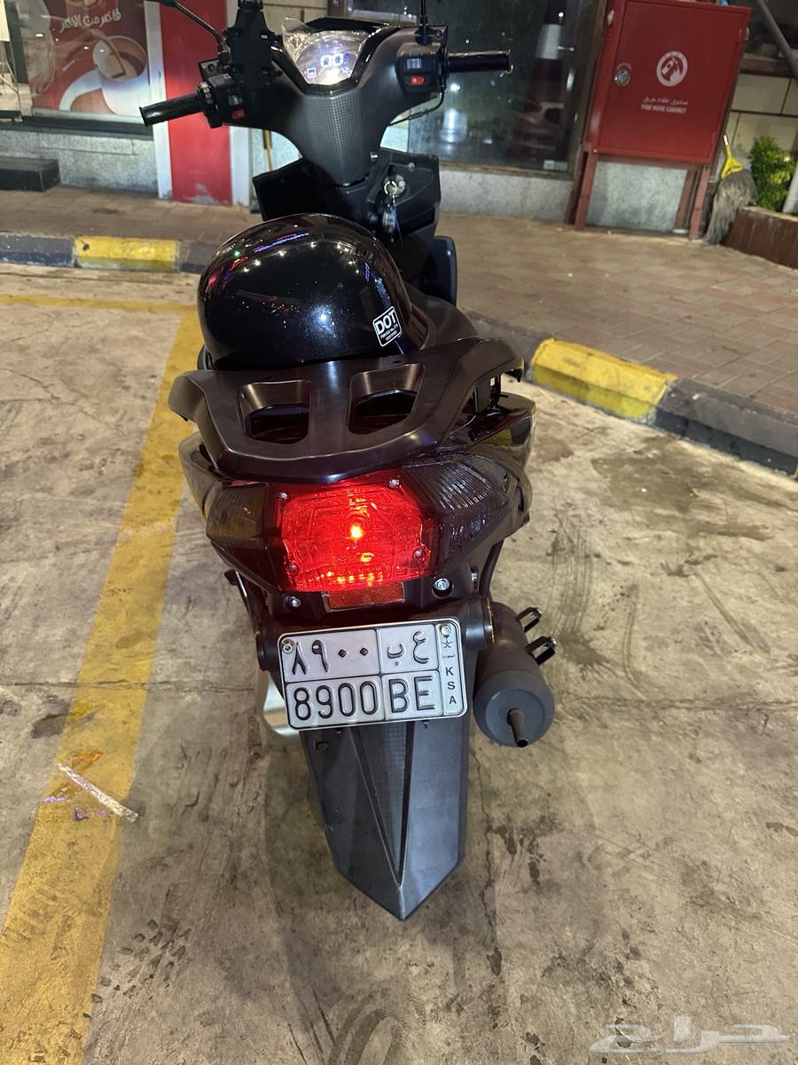 دباب الوسام الناري 202564428968815489110