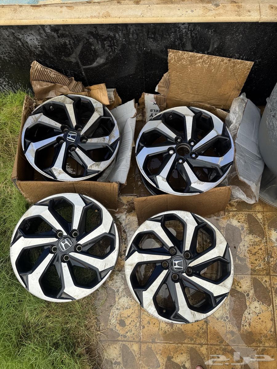 جنوط اكورد 17 وكالة64430110881923111