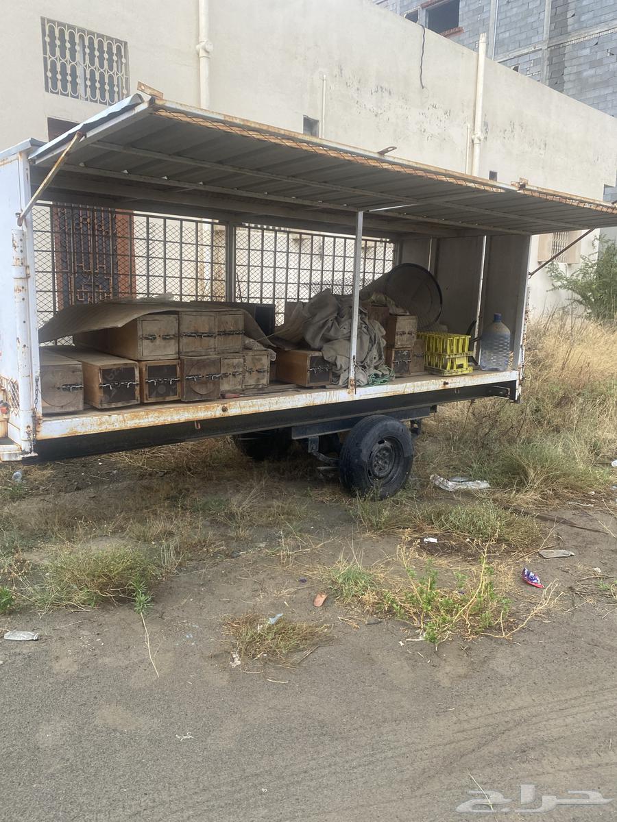 قلص نحل للبيع64436306472707113