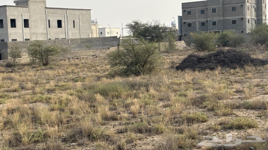 Agricultural land for rent63613603102337114