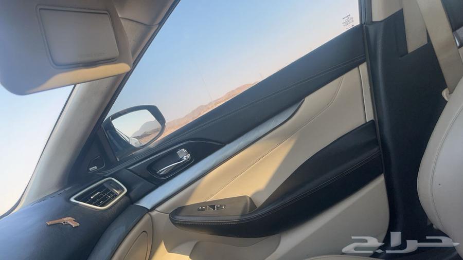 Maxima Chalih64438888041091113