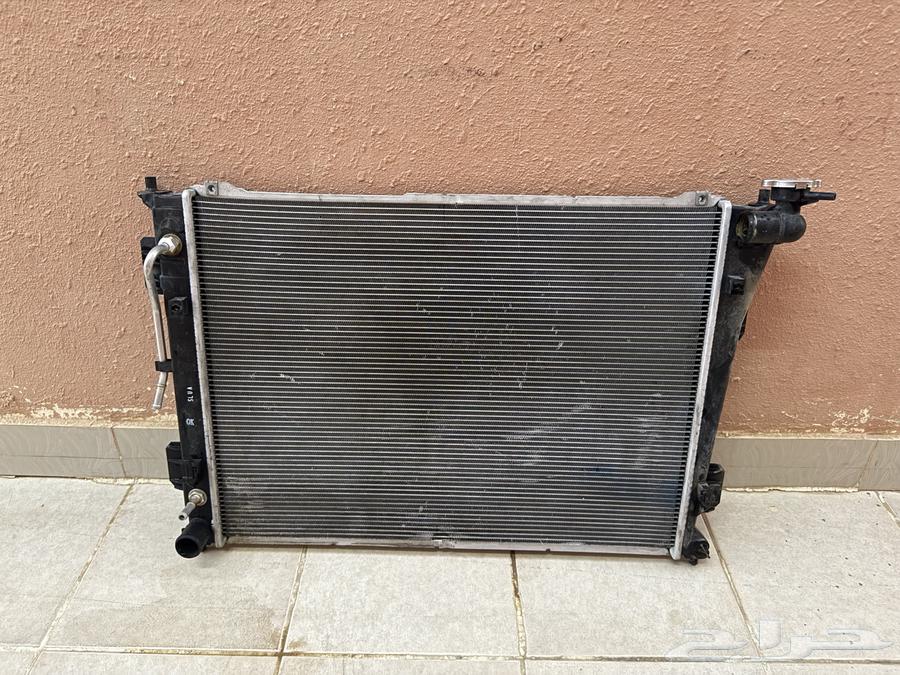 رديتر موية كادينزا ((اخو الجديد))64437921633793112