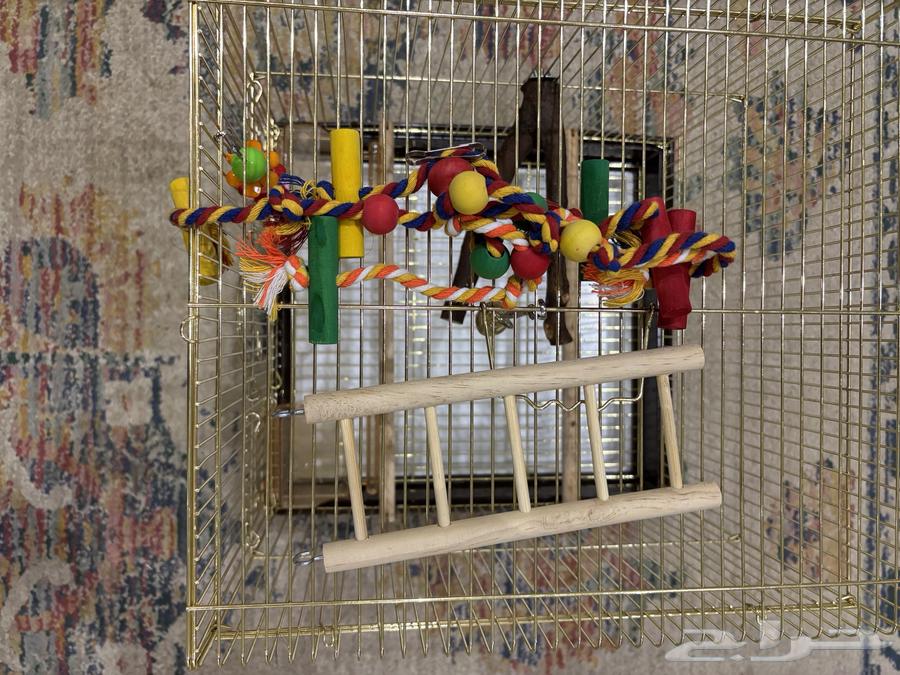 قفص طير64295120000129113