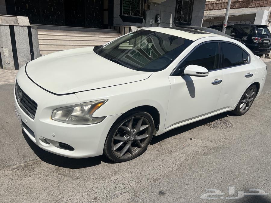 Maxima Full Option 2014 for Sale, White Color64438565102338111