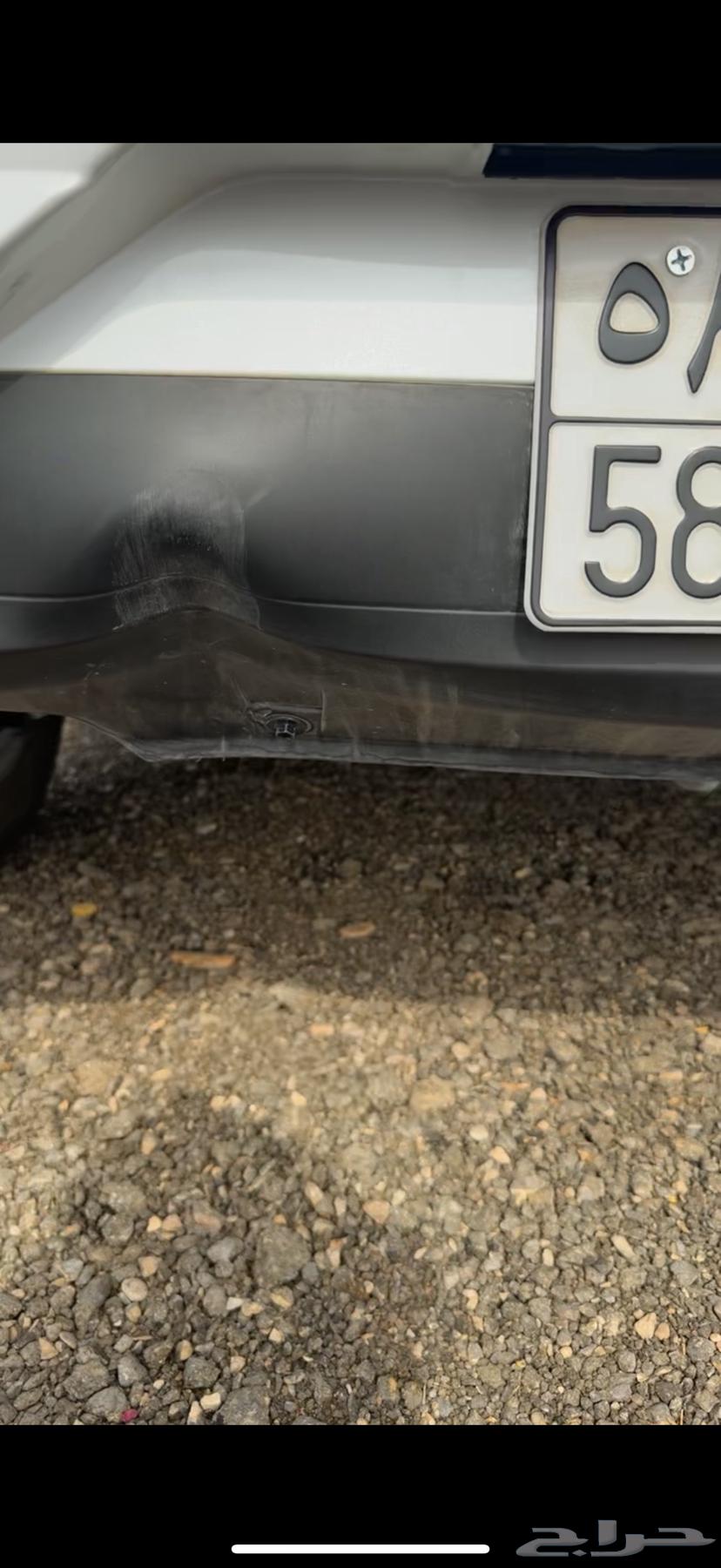 Rais 202464432550449282114