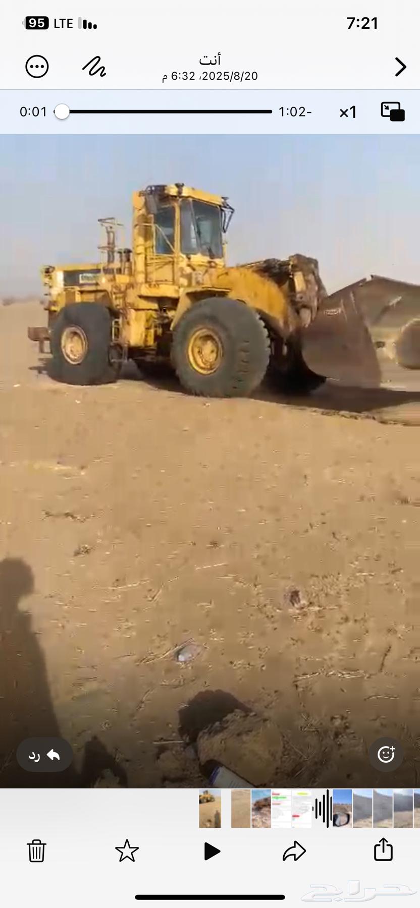 شيول 890c64429883159683111