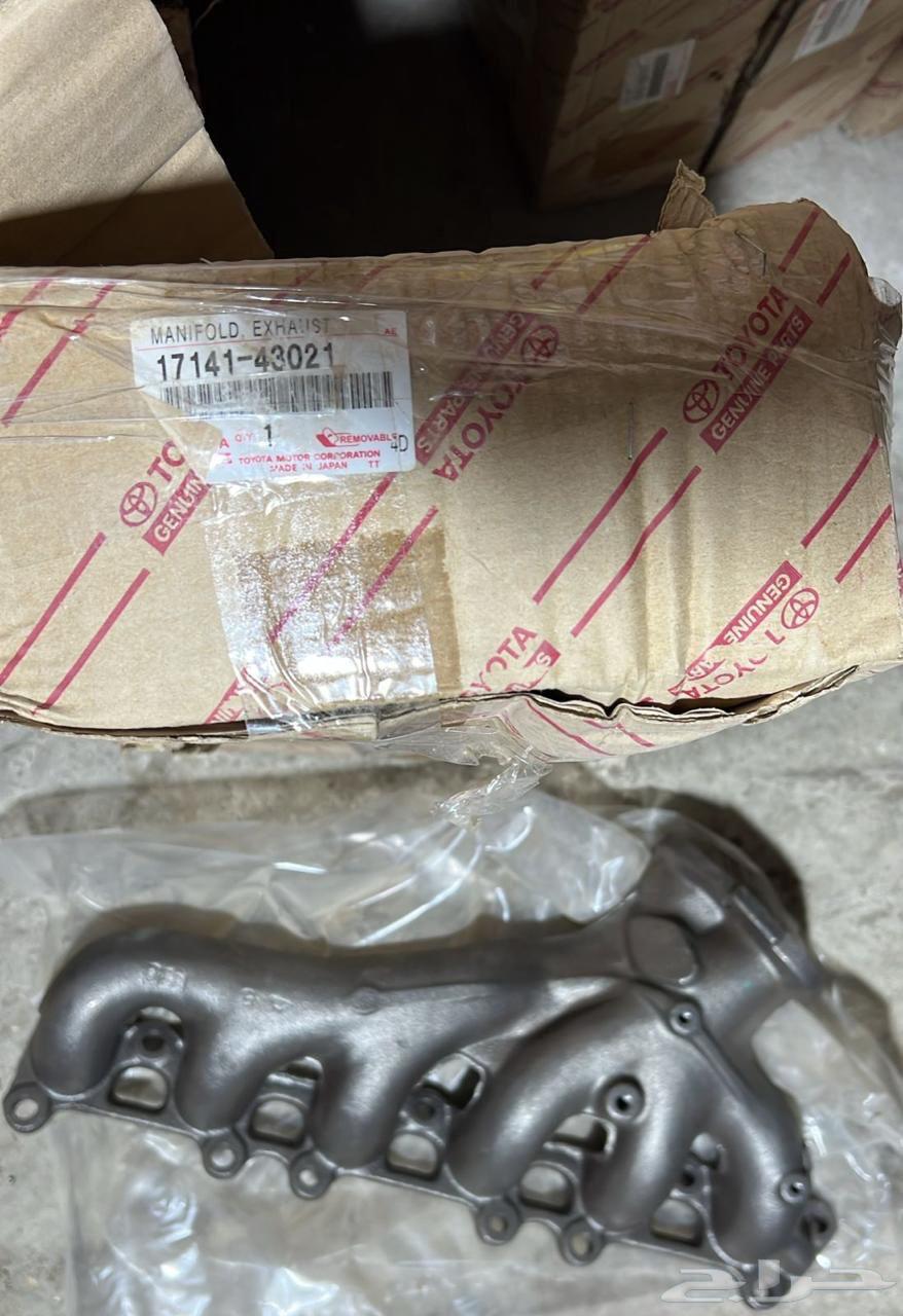 Qazooz Cressida64429237076739110