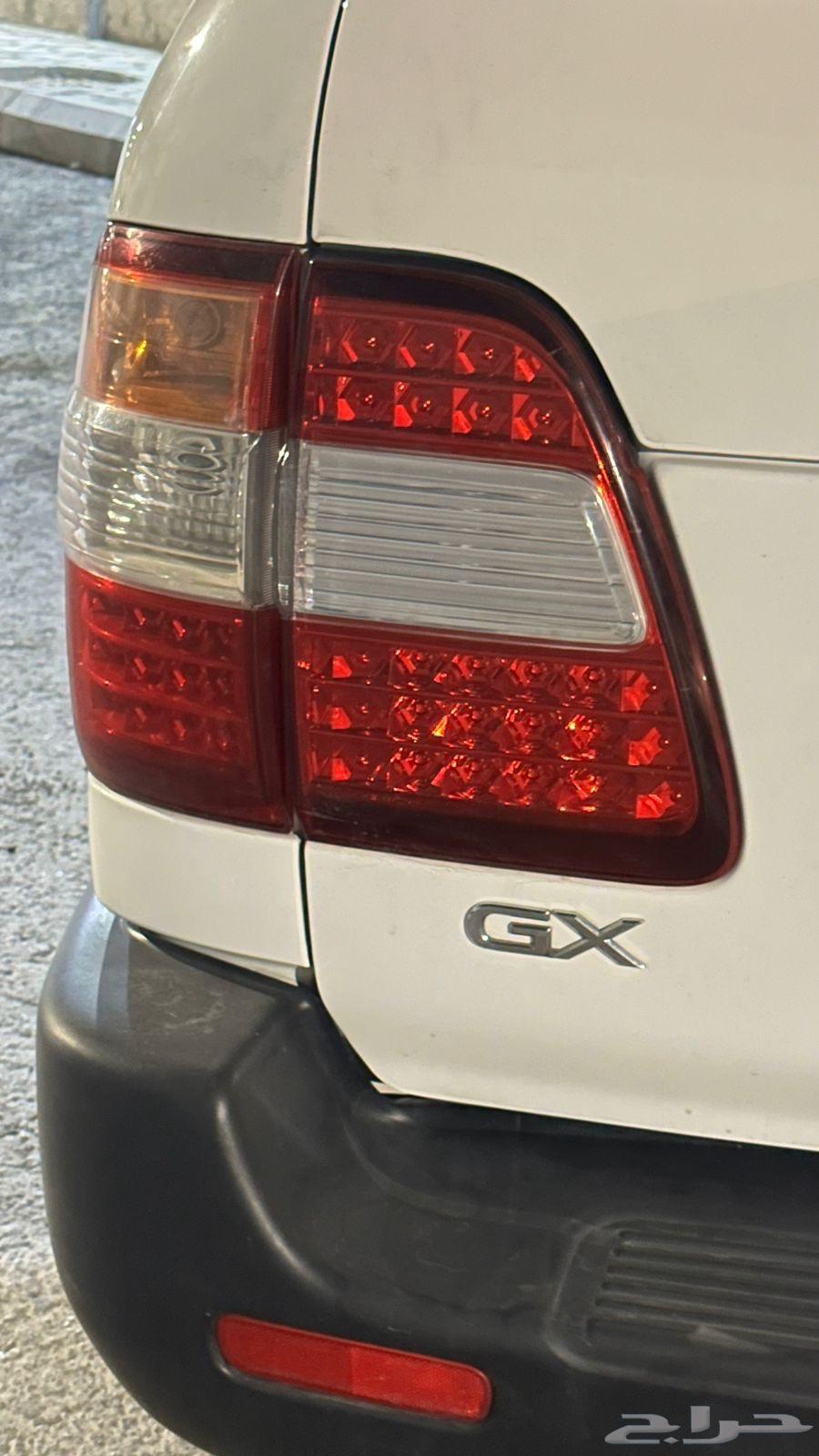 للبيع اصطابات اصلية64435054315137110