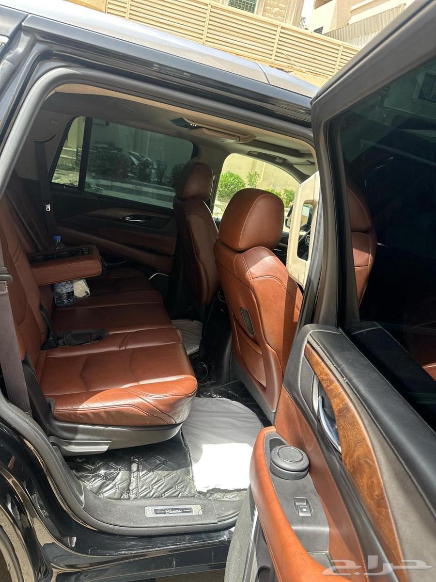 Al Jazeera64439078160130113