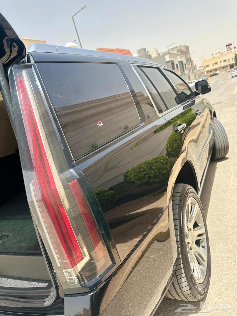 Al Jazeera64439078160130114