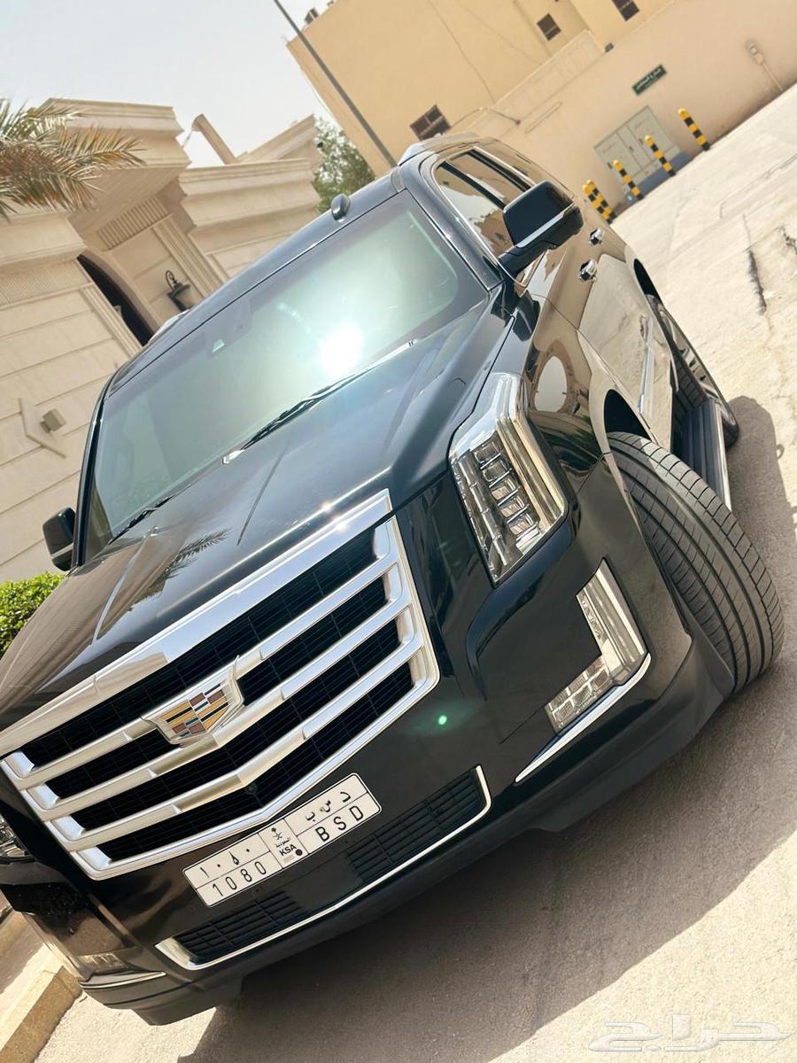 Al Jazeera64439078160130110