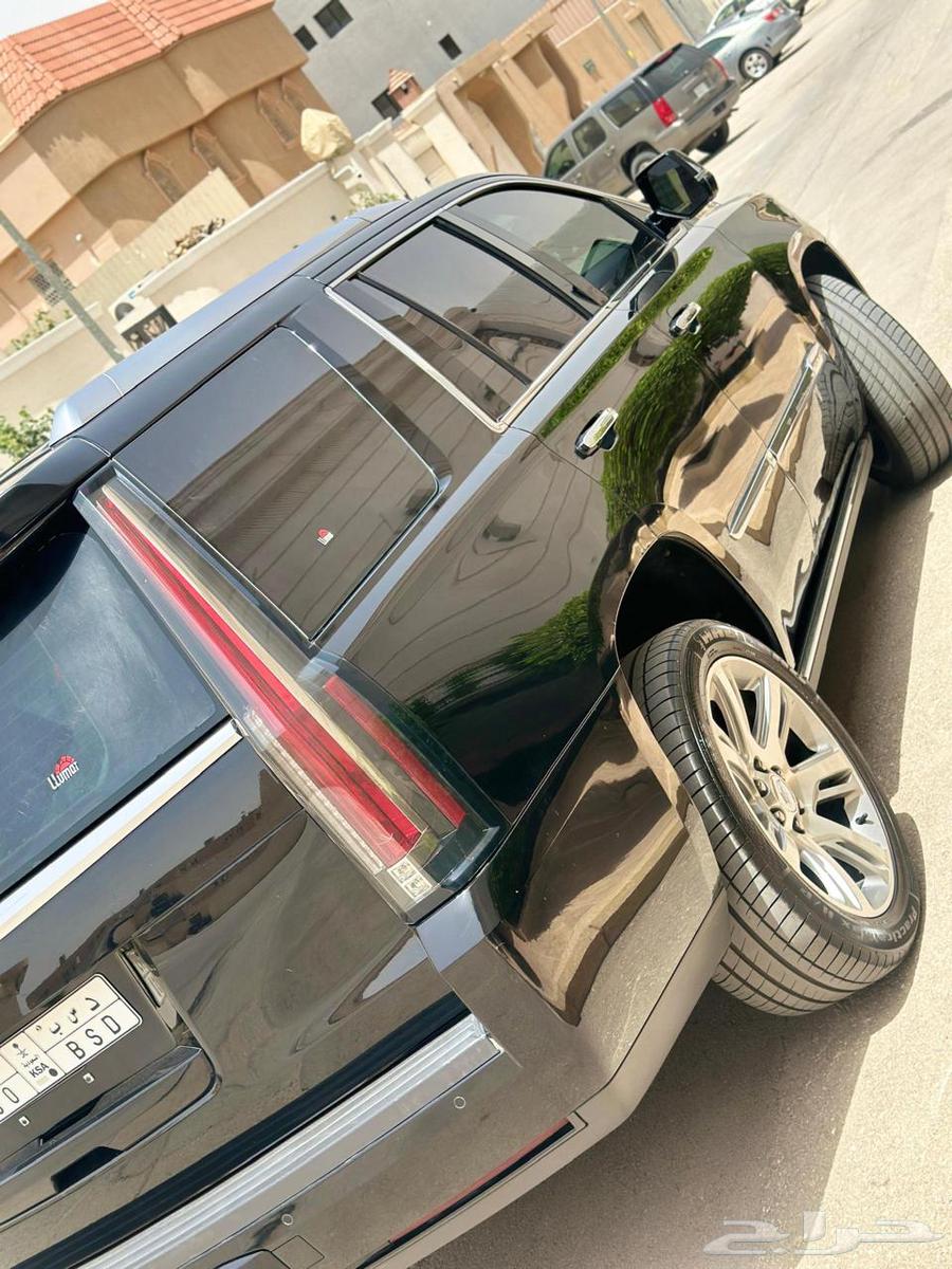 Al Jazeera64439078160130112