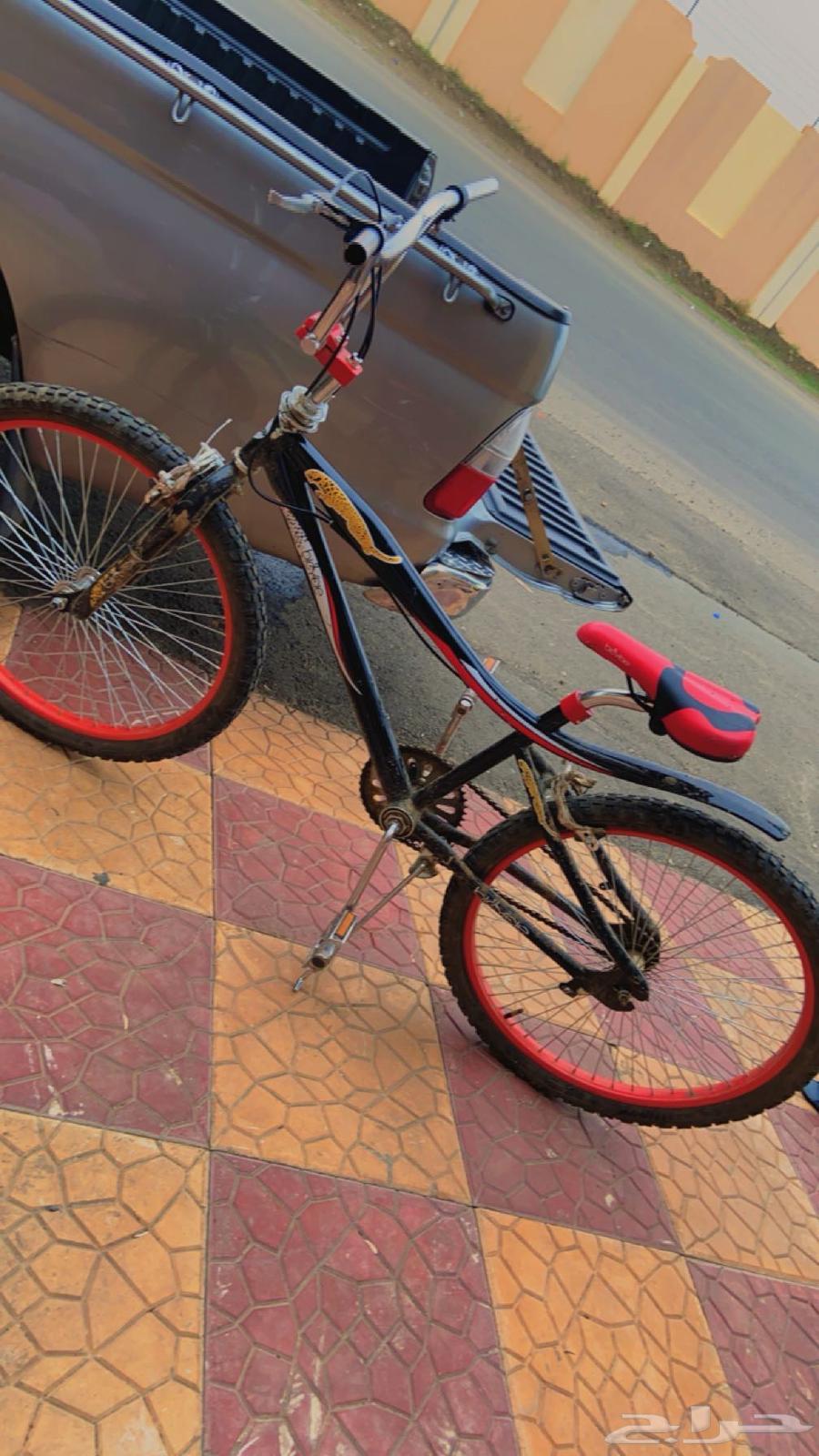 سيكل كوبرا مقاس 2464309099191298111