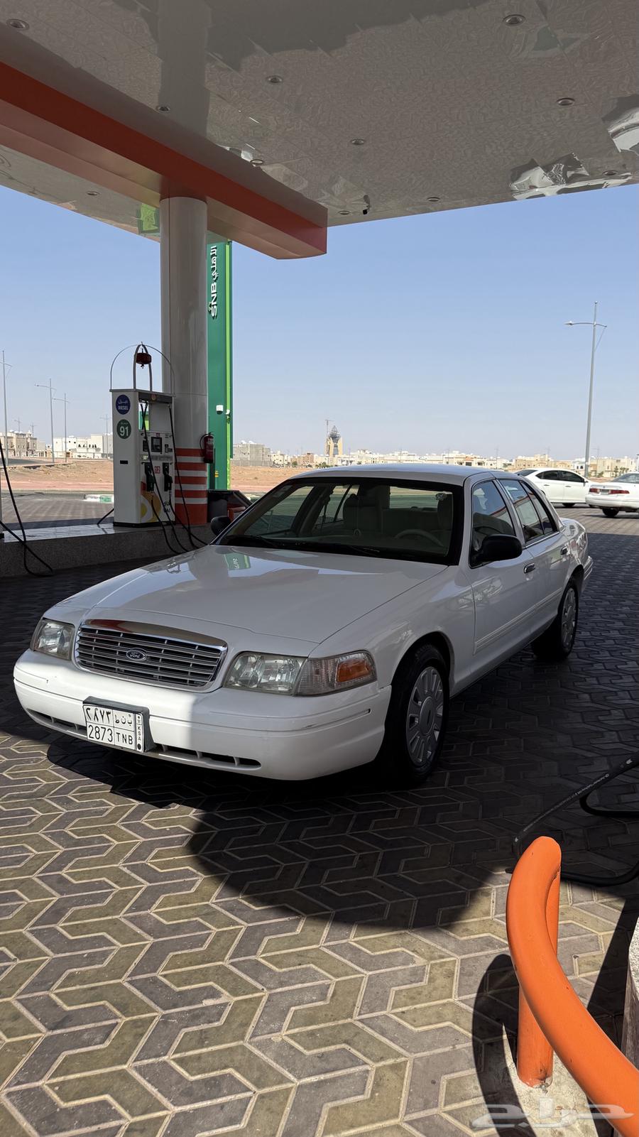 فكتوريا بوليسي 201164446189262979110