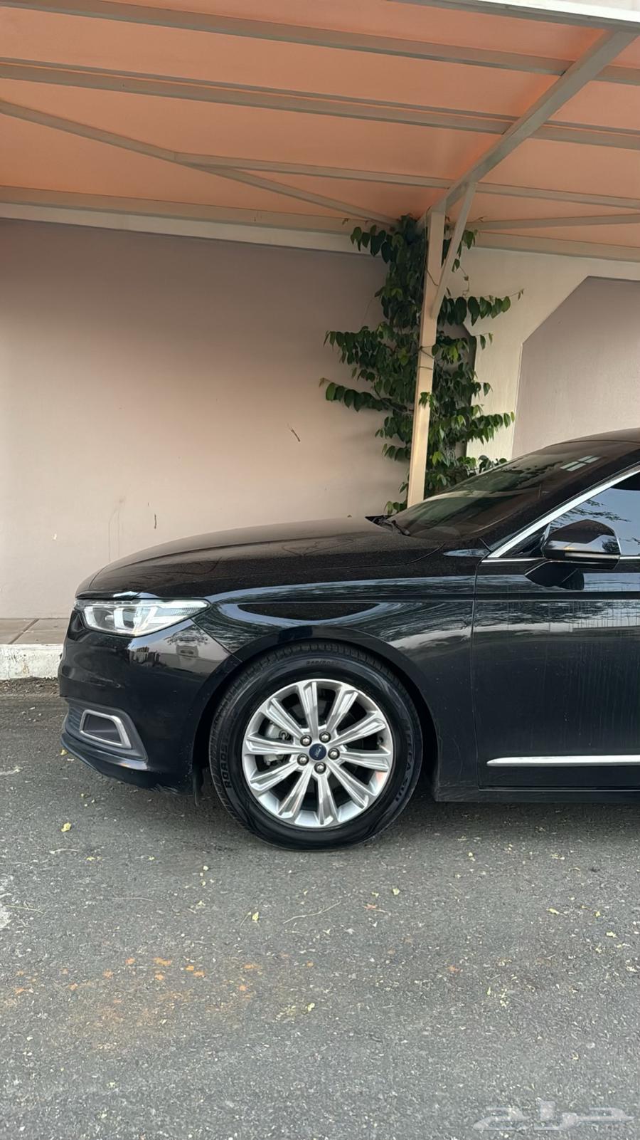 Taurus 202264442309425923114