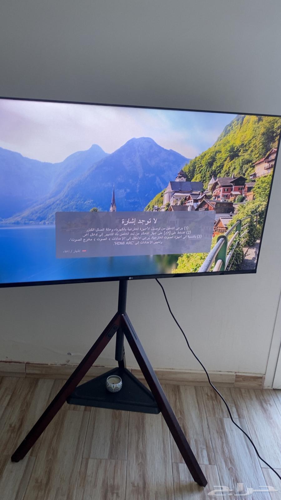 Screen (mtc). 55 inches. Used for 6 months. And the stand with it.64441732055939112