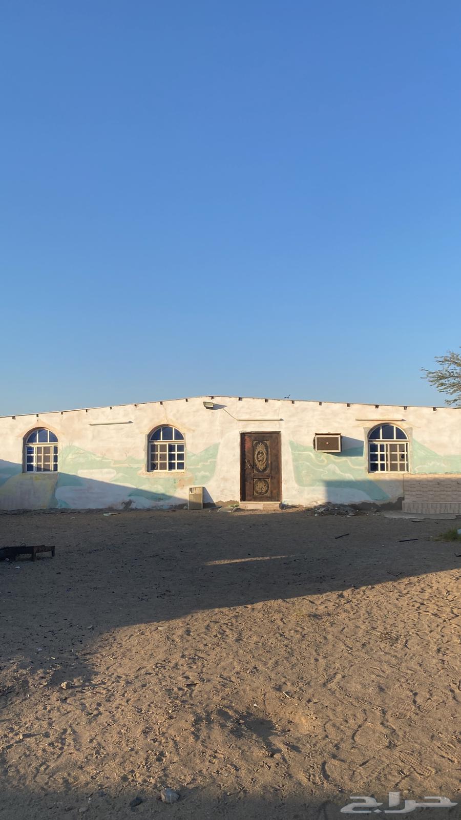 Rest area in Al-Nasbah63613611710593110