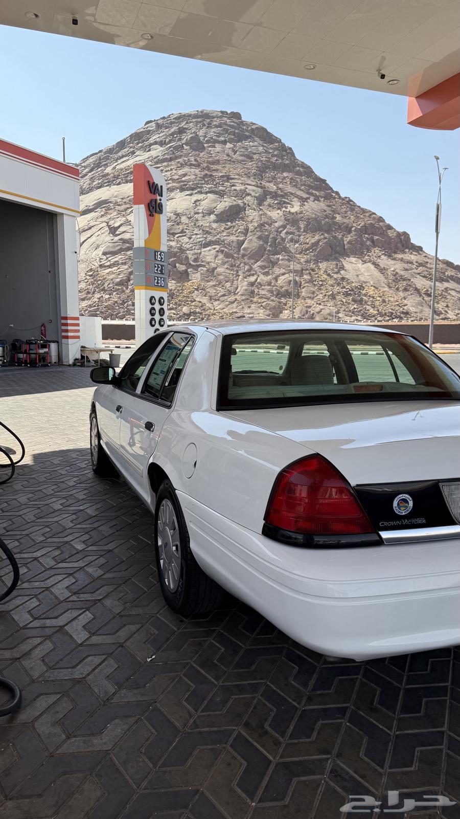 فكتوريا بوليسي 201164446189262979113