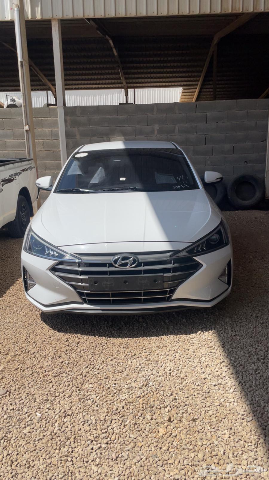 Elantra (Avanti)64445526866305111