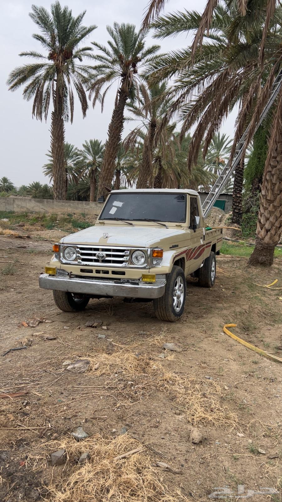 للبيع جيب شاص64447055804289112