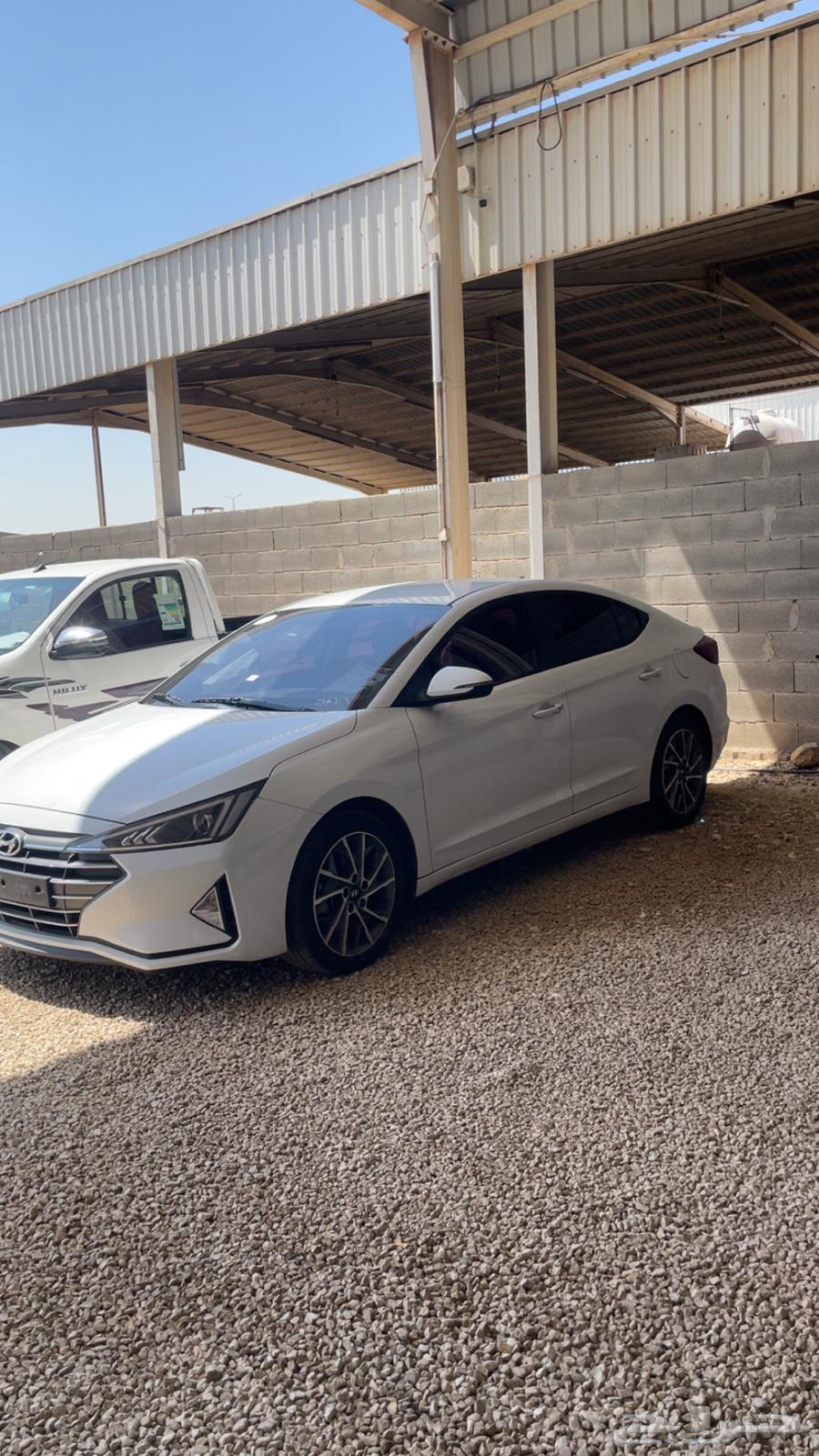 Elantra (Avanti)64445526866305110