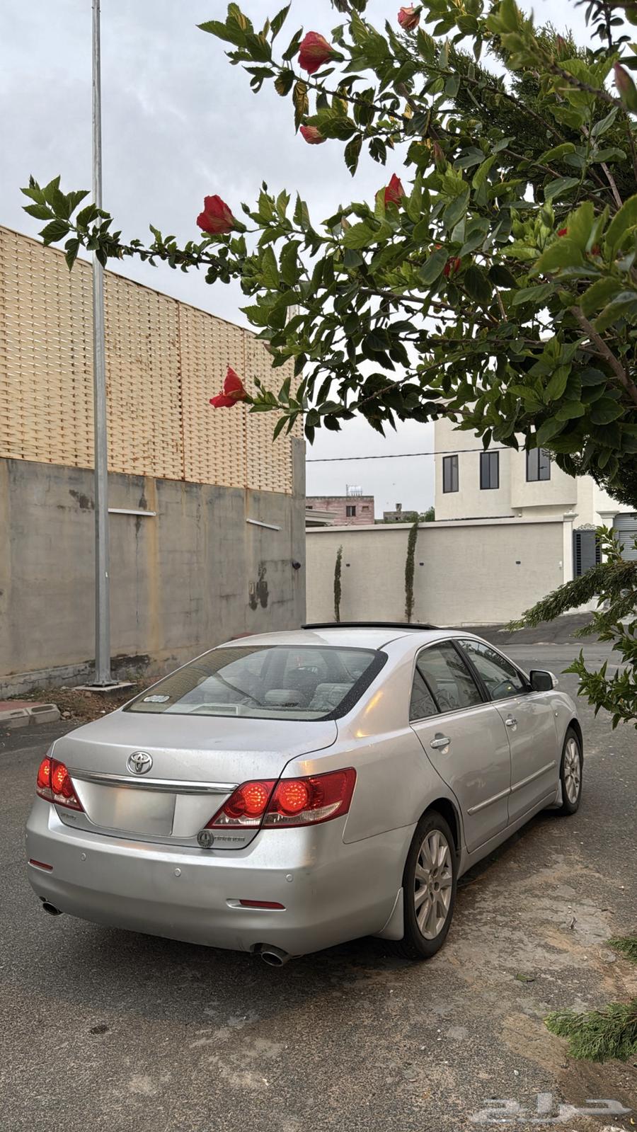 اوريون قراندي بلد64452319959555114