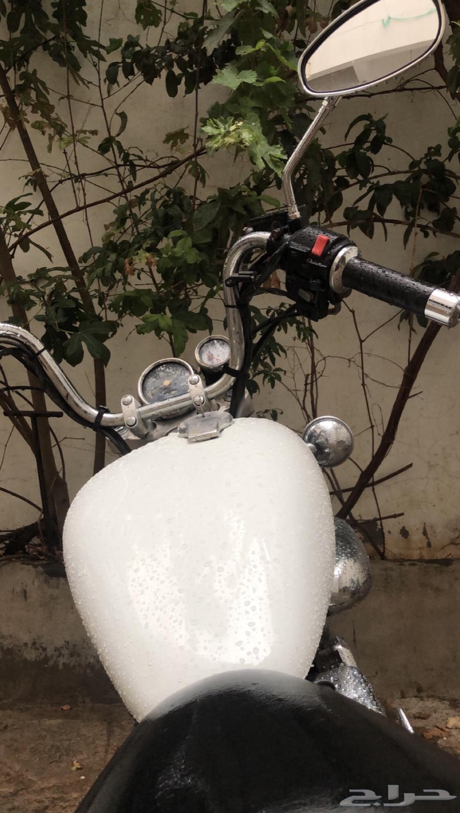 دباب ياماها فيراقو 2010 للبيع64451889592961112