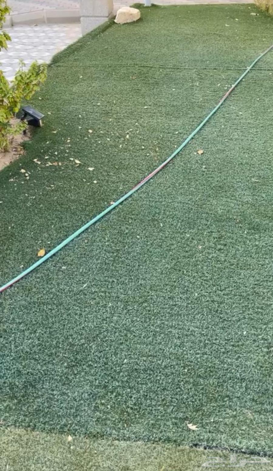 Artificial grass64311279452290110