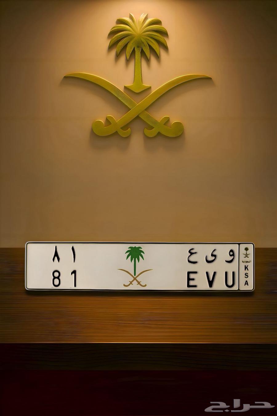 Distinctive Dual Plate64449942419969110