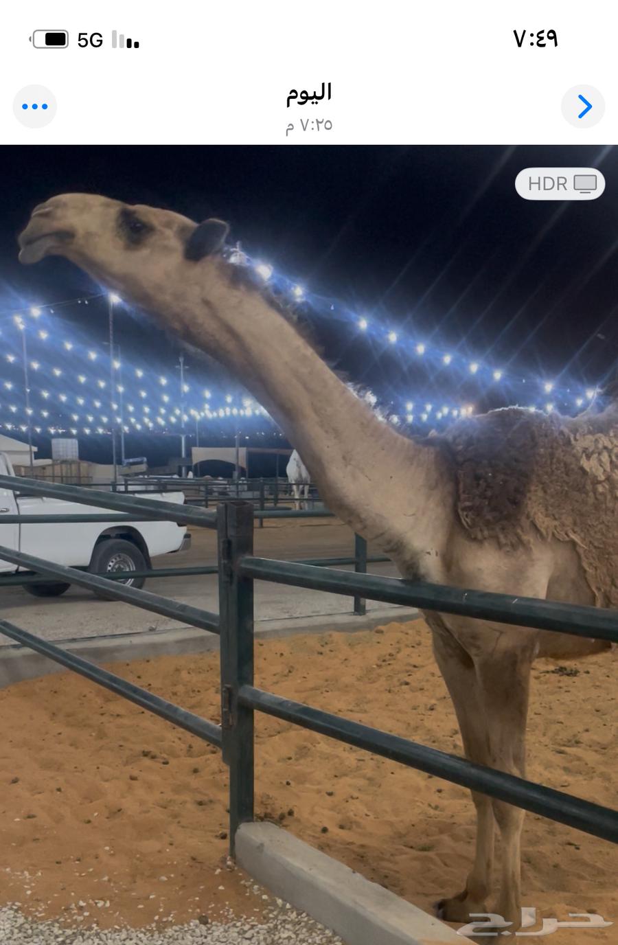 Tomorrow, it's enough64302222004739110