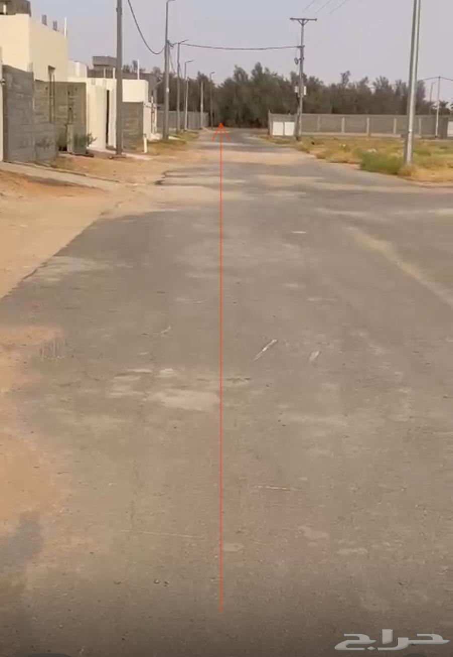 Land for sale in Al-Salam scheme in Al-Quwari636136113168651118