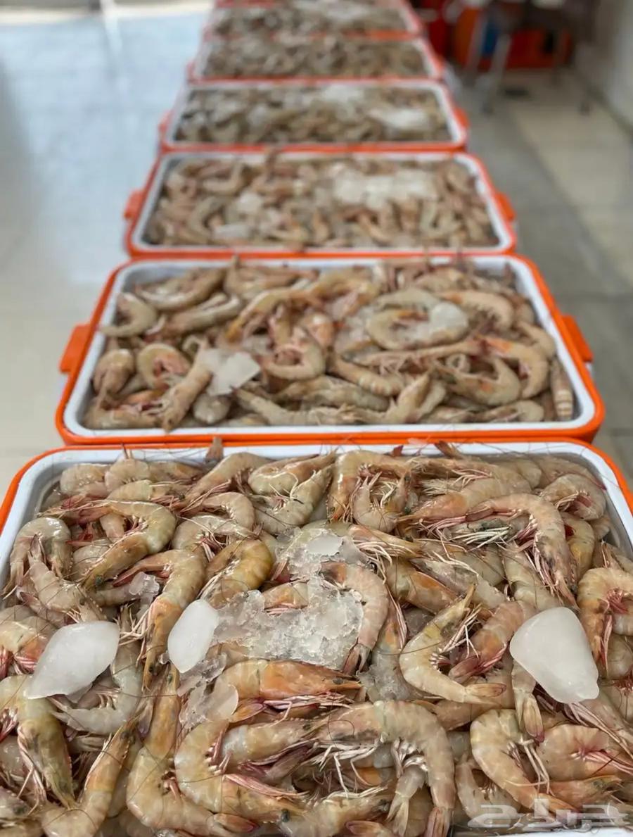 محل ابو علي العرادي للاسماك و الربيان64309570308226111