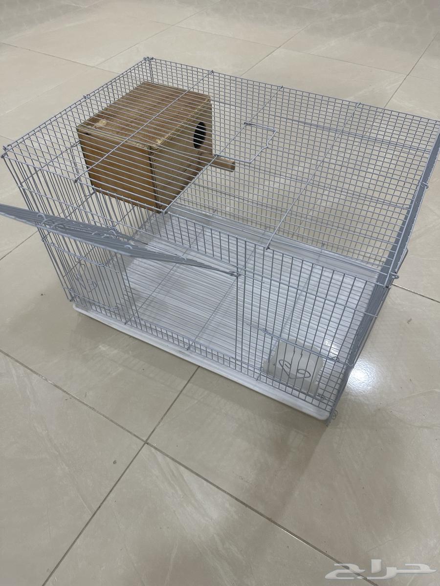 Bird net64308501247361110