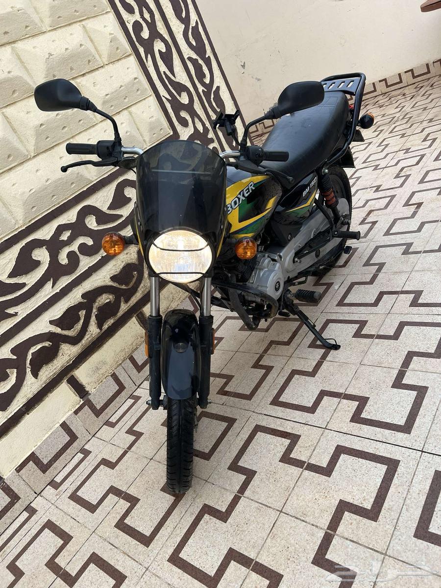 دباب بوكسر64450651371267110