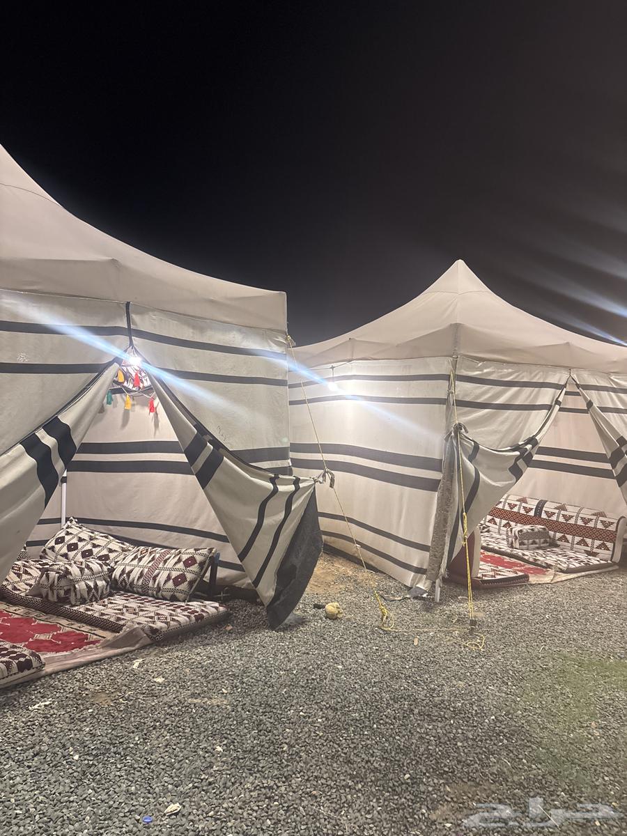 خميس مشيط 10 خيام معا الأثاث الي للبيع64312793144065111