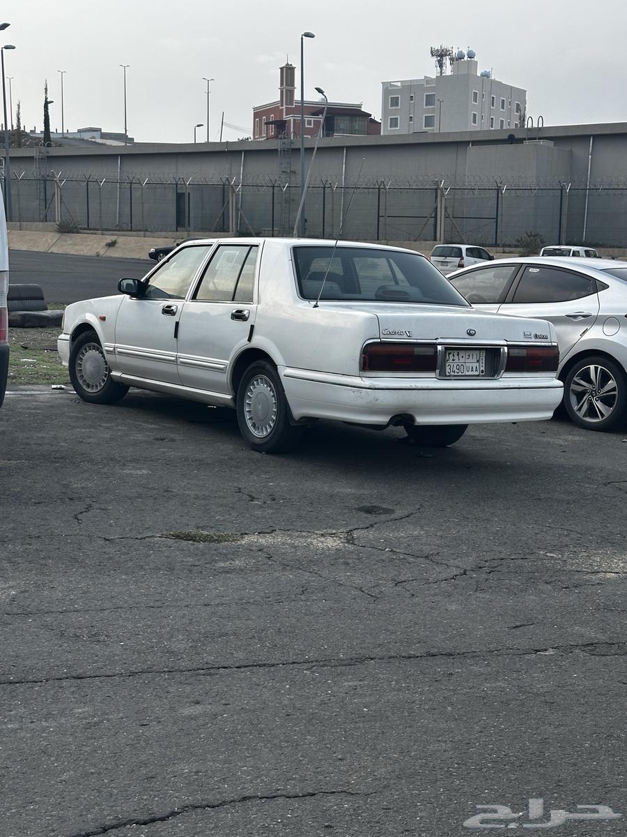 Sedric Model 9964441485598849114