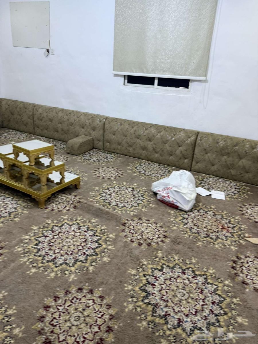 Set of cushions and mat for 999 SAR, curtain and tables for free64376124813185111