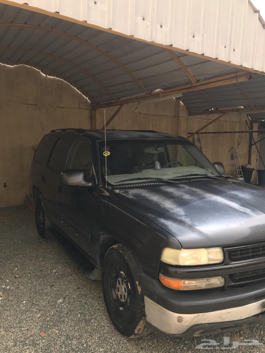 Tahou 200464448753317123111