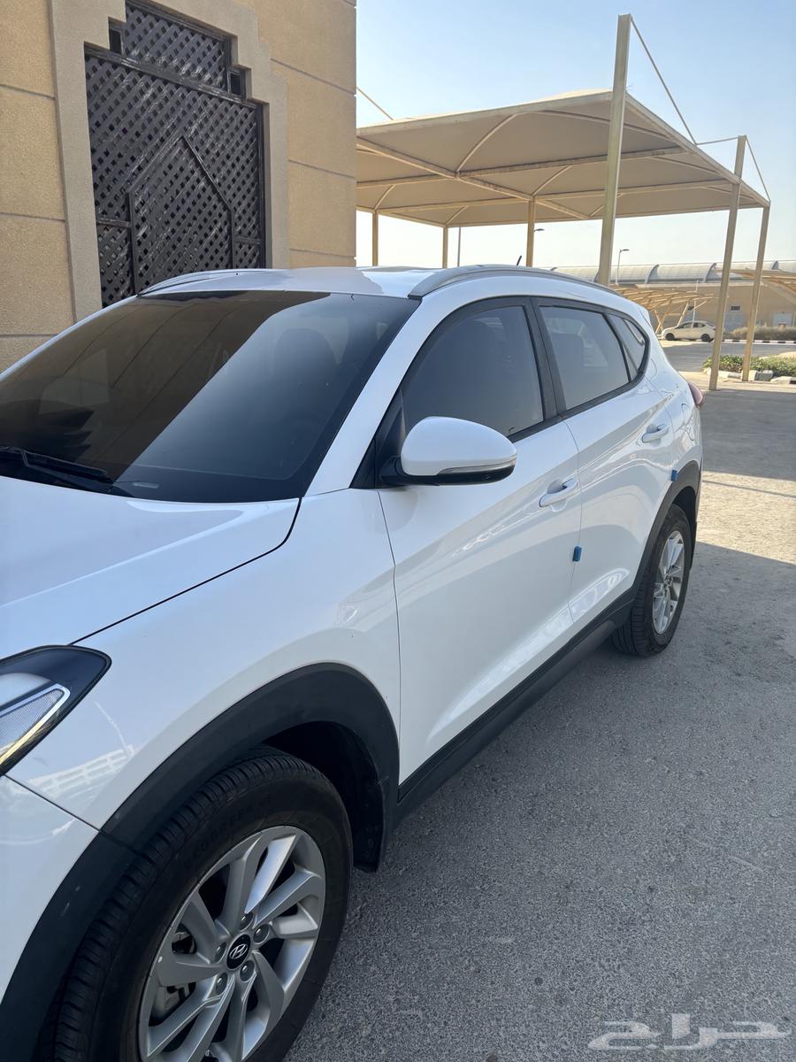 Tuscan alternative only Hilux diesel or Jeep64451754913667112