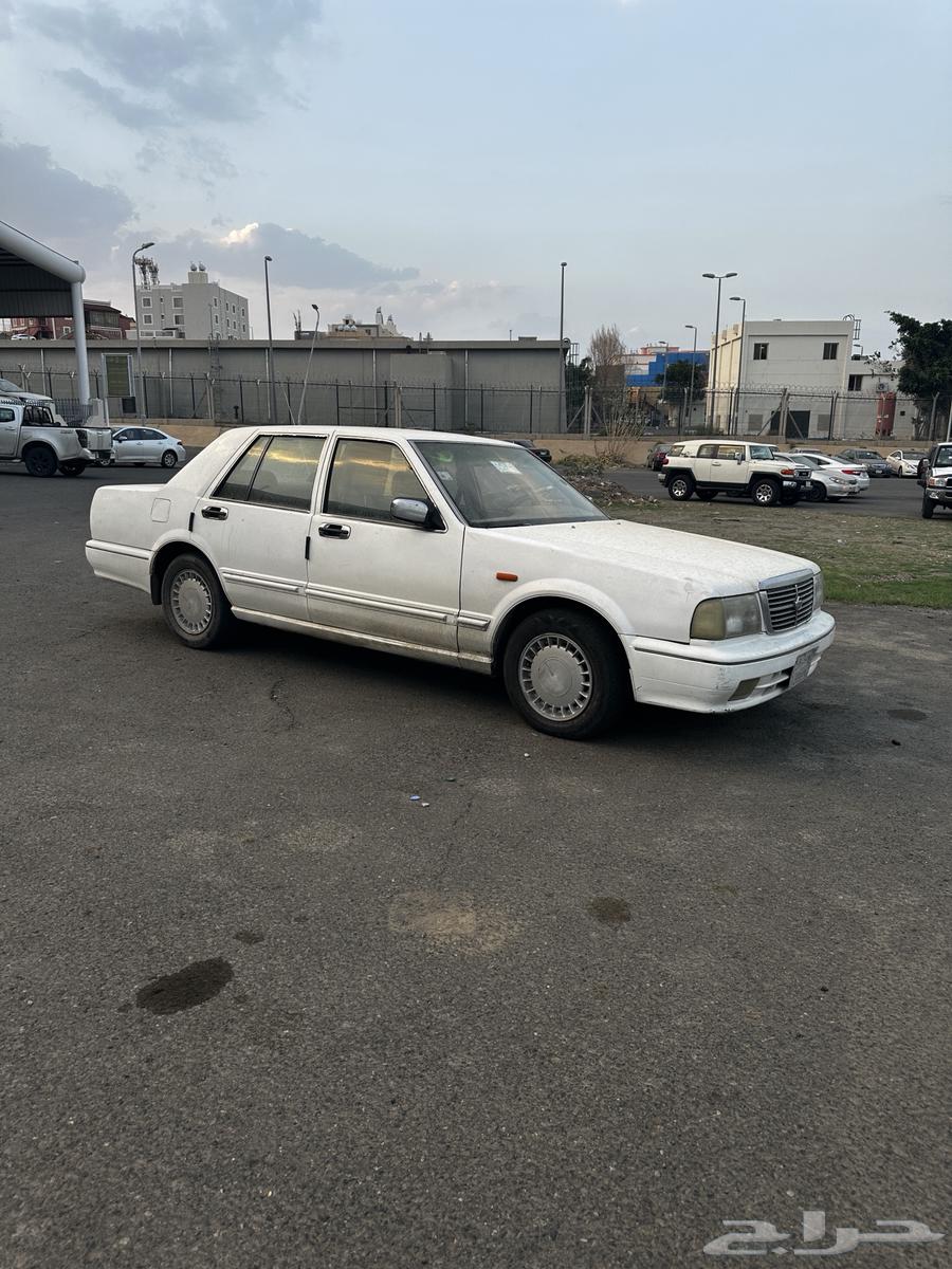 Sedric Model 9964441485598849111