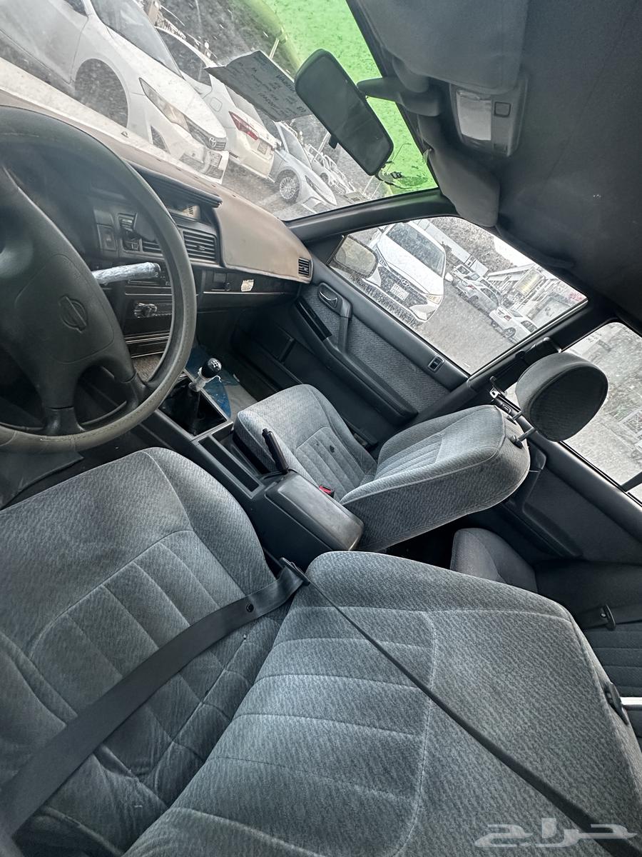 Sedric Model 9964441485598849112