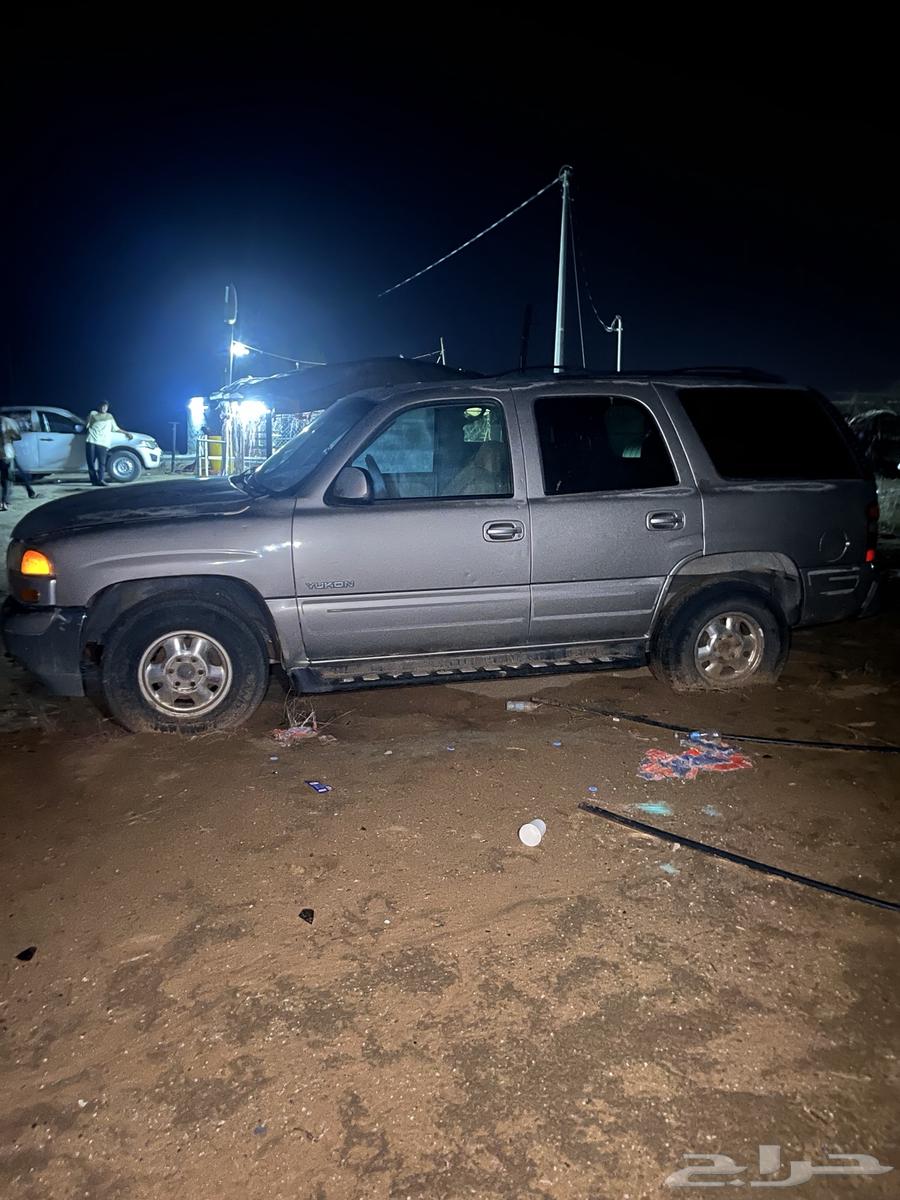 Gams 200164451552538626113