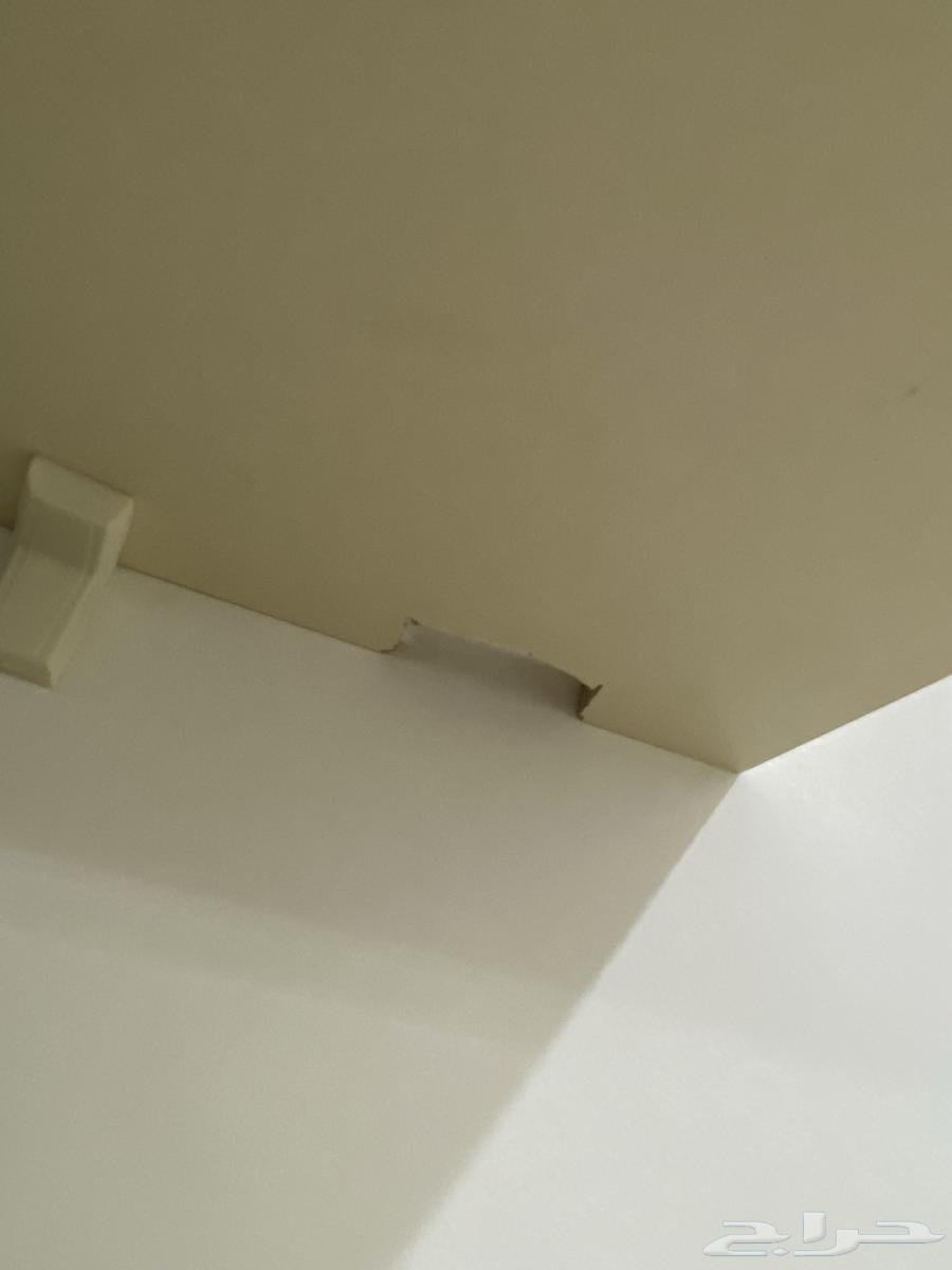 Screen table64303370553603112