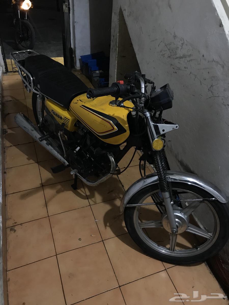 دباب للبيع64449287709057110