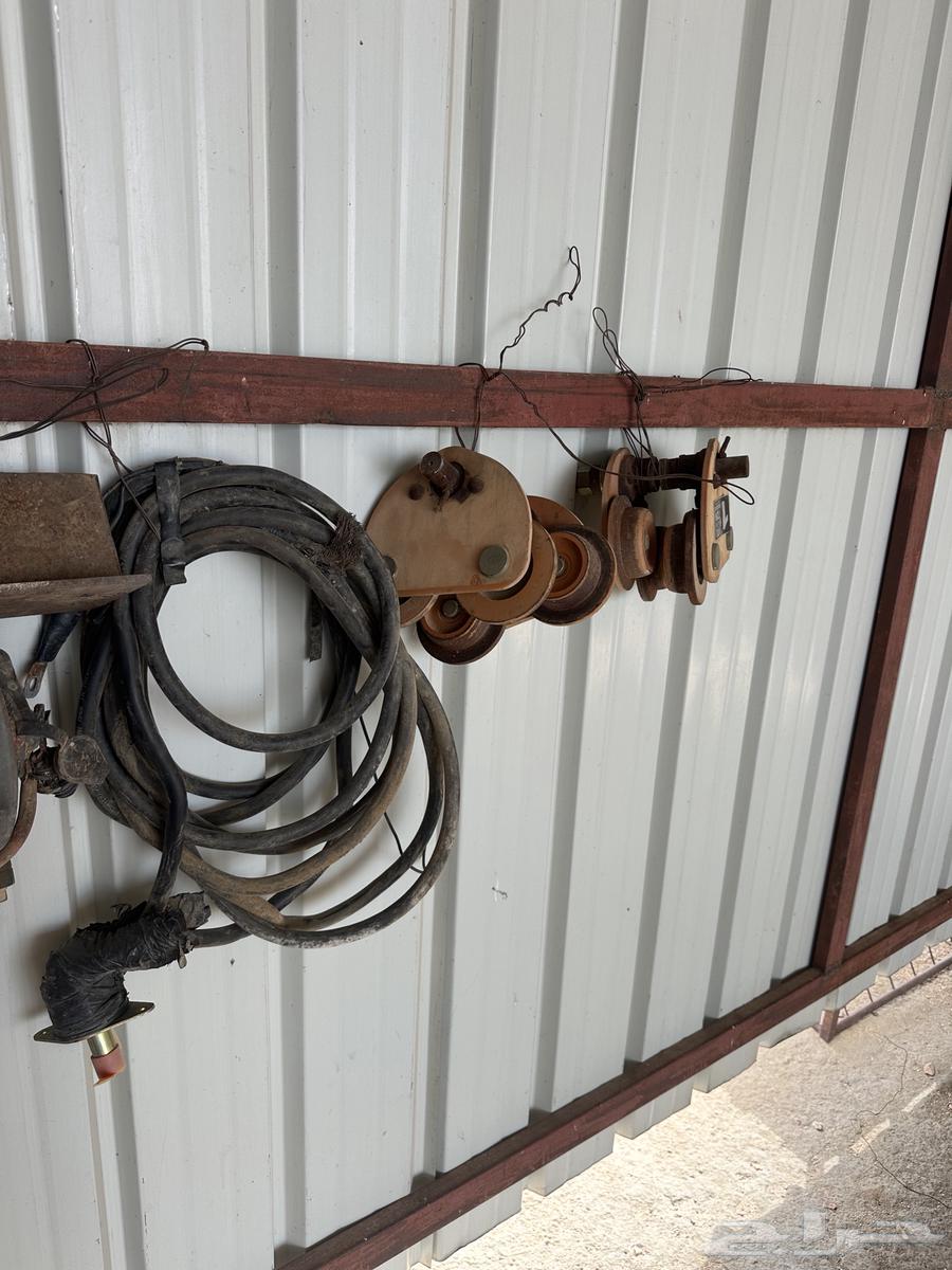 Taif North64446707958018113