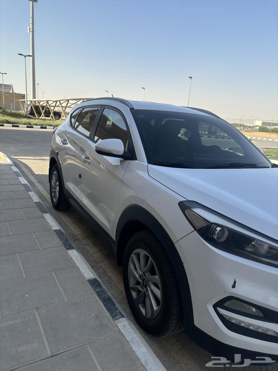 Tuscan alternative only Hilux diesel or Jeep64451754913667110