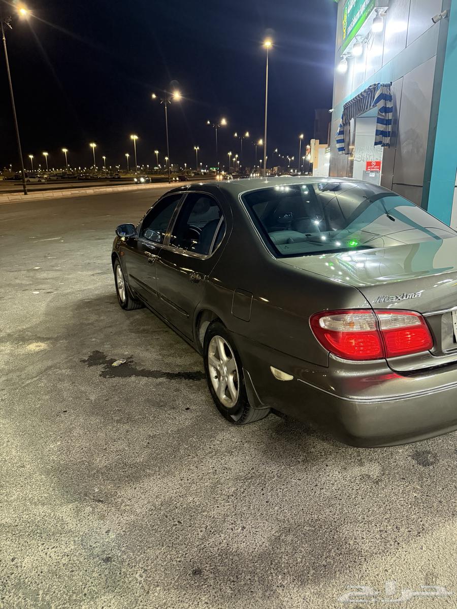 Maxima 200864440642560898113