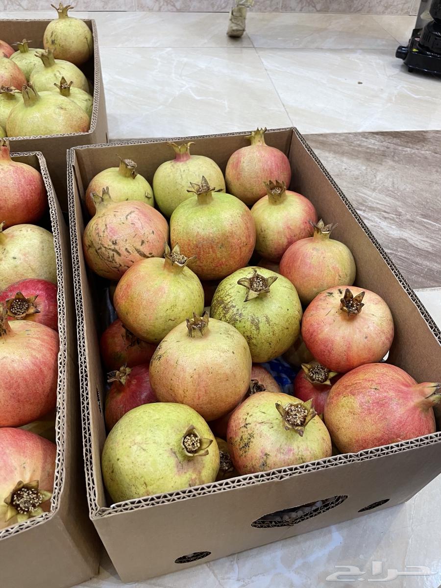 رمان جوف ال معمر64310271877889111