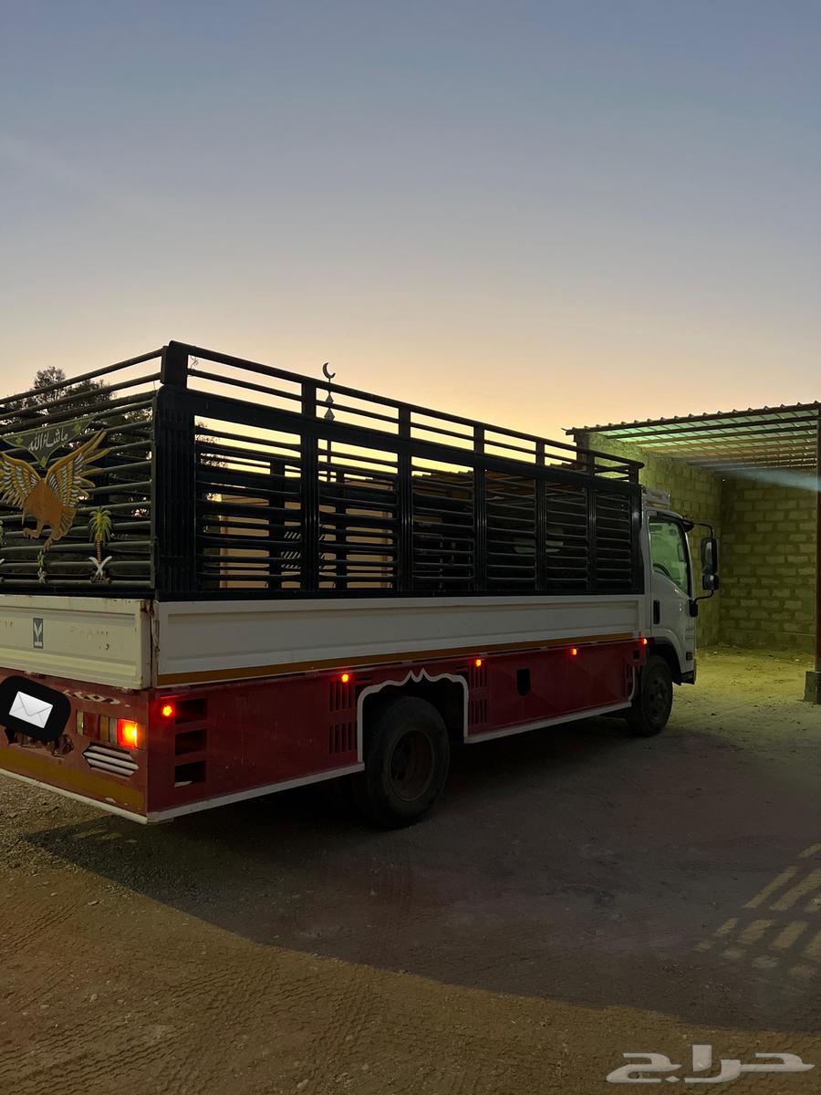 للبيع دينا سوبر جامبو64369878878594114